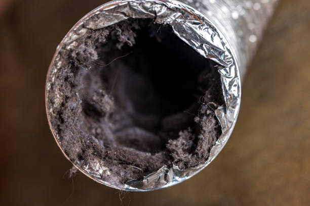 Best Dryer Vent Cleaning in Clearwater, KS